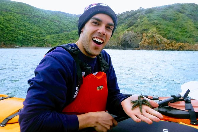 Small group guided sea kayaking in Akaroa marine reserve - What the 2 to 3 hour outing feels like