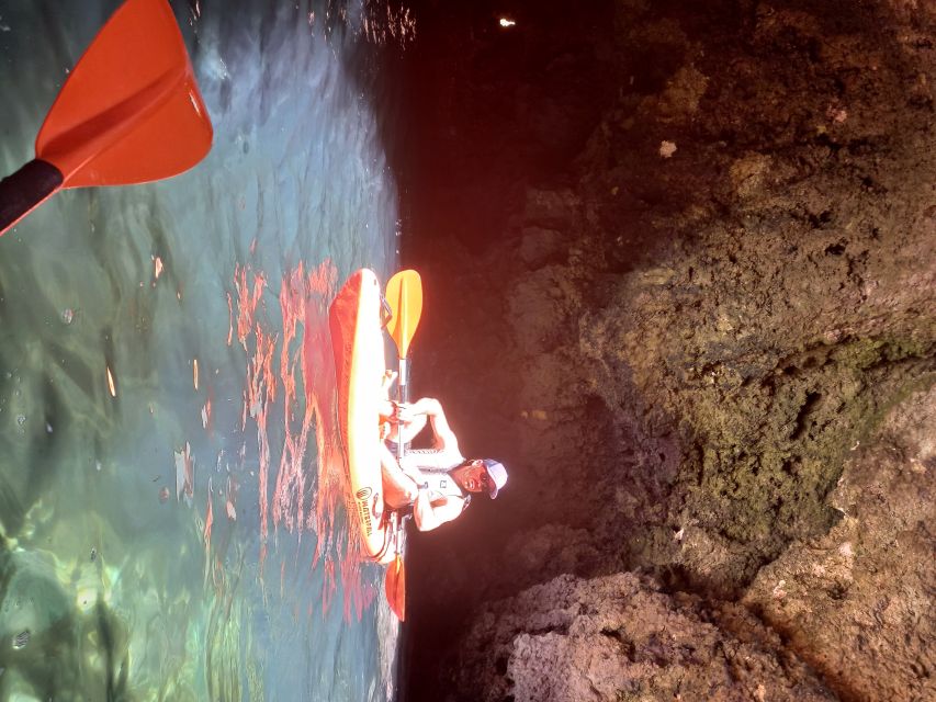 Small-group Kayak experience at Ponta da Piedade - Key points to know before you book
