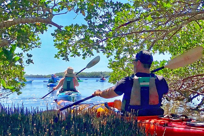 Small Group Kayak Tour of the Shell Key Preserve - What makes the beach stop worthwhile