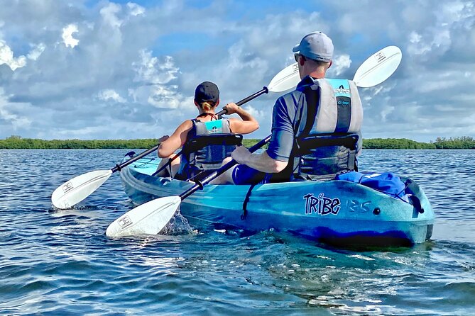 Small Group Kayak Tour of the Shell Key Preserve - Guides make the difference