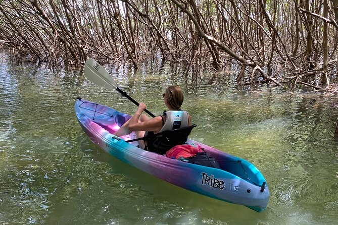 Small Group Kayak Tour of the Shell Key Preserve - Price and value at $79