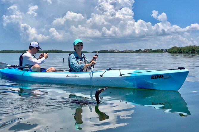 Small Group Kayak Tour of the Shell Key Preserve - Who should book this tour