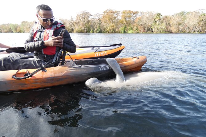 Small Group Manatee Discovery Kayak Tour near Orlando - Why Blue Spring makes a strong manatee setting