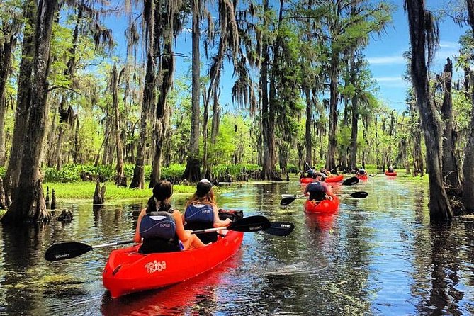 Small-Group Manchac Swamp Kayak Tour - Key points to know before you paddle