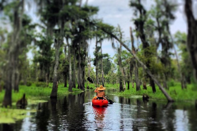 Small-Group Manchac Swamp Kayak Tour - Leaving New Orleans for Manchac Swamp