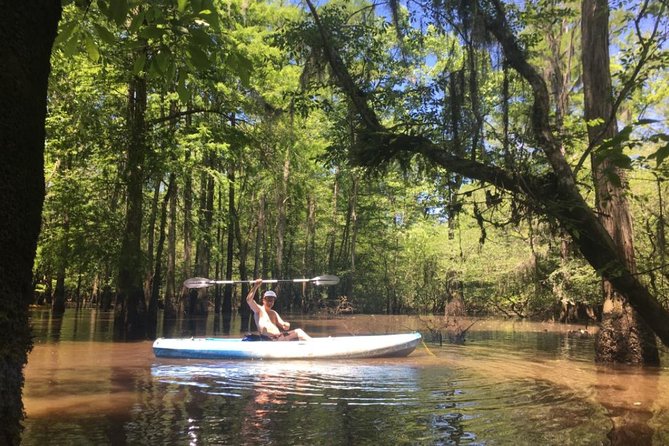 Small-Group Manchac Swamp Kayak Tour - Paddling into the Manchac and Maurepas wetlands