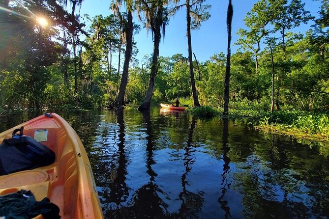 Small-Group Manchac Swamp Kayak Tour - Alligators, turtles, birds, and the luck of the day