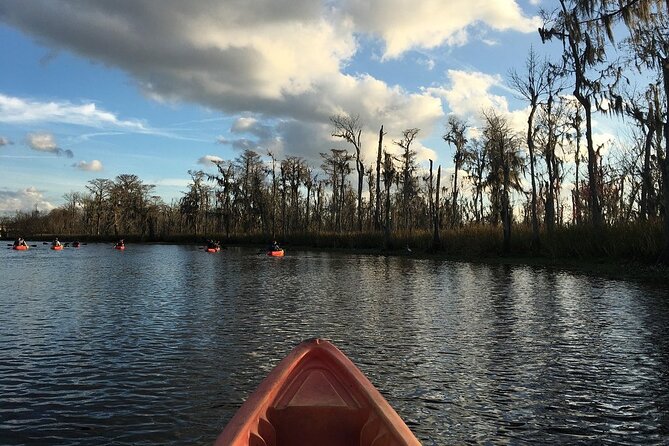 Small-Group Manchac Swamp Kayak Tour - What the two-and-a-half-hour paddle feels like