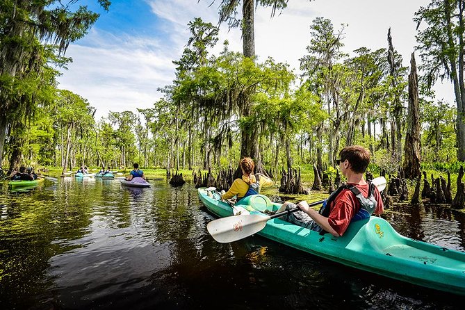 Small-Group Manchac Swamp Kayak Tour with Local Guide - What the 2 to 3 hour paddle feels like