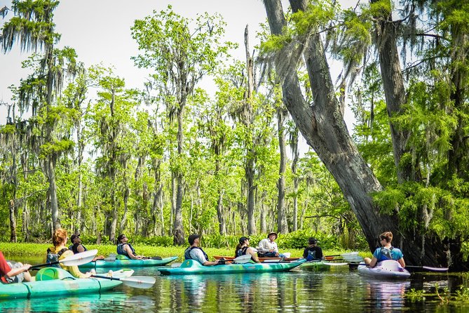 Small-Group Manchac Swamp Kayak Tour with Local Guide - Guides who add stories and local character