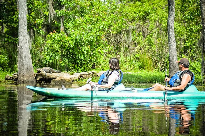 Small-Group Manchac Swamp Kayak Tour with Local Guide - From St. Roch Market to the Wild Louisiana launch