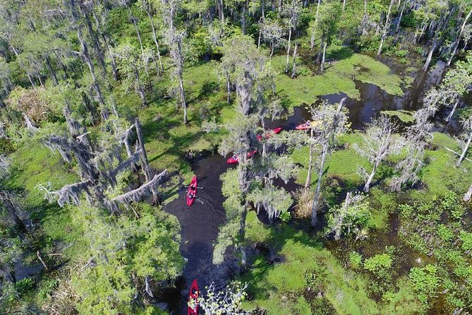 Small-Group Manchac Swamp Kayak Tour - Learning the kayak before entering the cypress channels