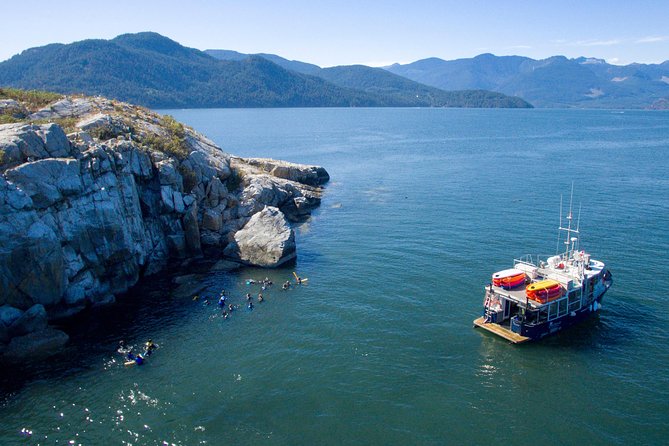 Snorkel, Kayak, and Seal Adventure: Vancouver Boat Tour - Meeting the seals at Pam Rocks