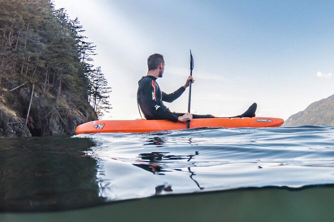 Snorkel, Kayak, and Seal Adventure: Vancouver Boat Tour - The crew, equipment, and small-group feel