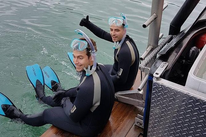 Snorkel, Kayak, and Seal Adventure: Vancouver Boat Tour - Who will enjoy this most?