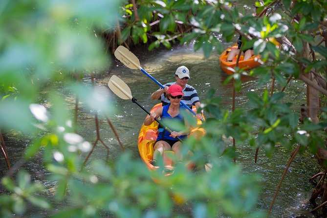 SoCoHo Eco Half Day - Mangrove Kayak & Reef Snorkeling - Helpful guides and personal attention