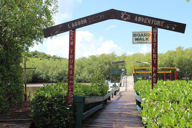 SoCoHo Eco Half Day - Mangrove Kayak & Reef Snorkeling - Snacks, rum punch, and optional lunch