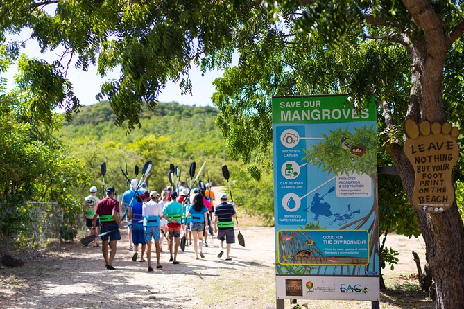 SoCoHo Eco Half Day - Mangrove Kayak & Reef Snorkeling - My verdict: a strong half-day choice with one clear limit