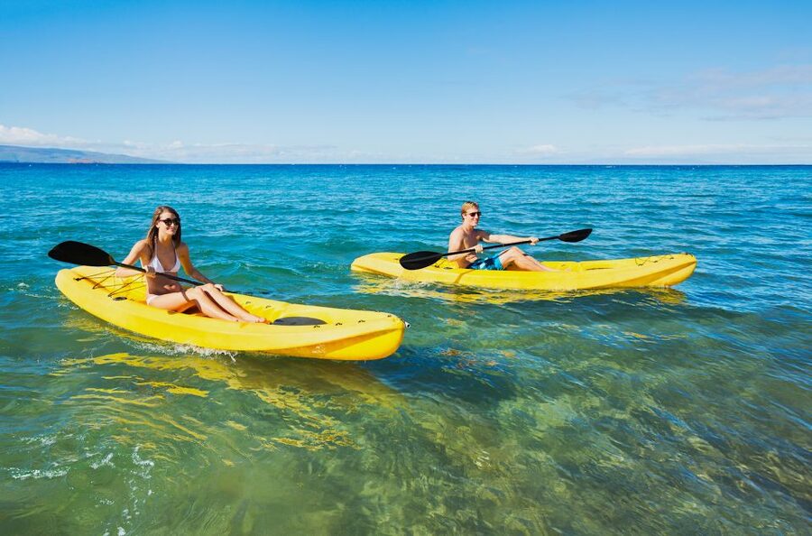 South Maui: Premium Turtle Town Kayak and Snorkel Tour - What is included, and what you still need