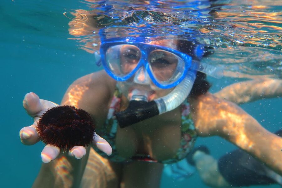 South Maui: Premium Turtle Town Kayak and Snorkel Tour - Who should book this South Maui tour?