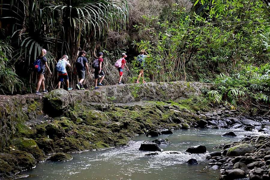South Maui: Waterfall Tour w/ Kayak, Snorkel, and Hike - My final take on booking