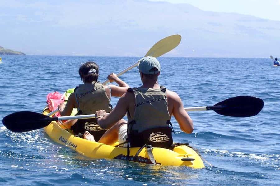 South Maui: Waterfall Tour w/ Kayak, Snorkel, and Hike - Snorkeling for green sea turtles