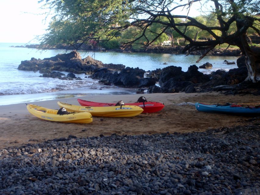 South Maui: Whale Watch Kayaking and Snorkel Tour in Kihei - My call: book it for the combination