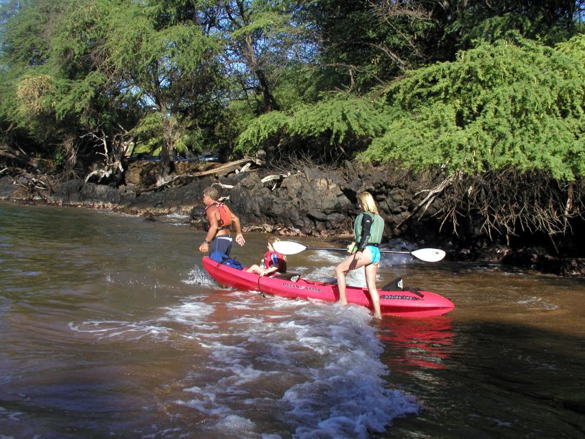 South Maui: Whale Watch Kayaking and Snorkel Tour in Kihei - Starting at Makena Landing