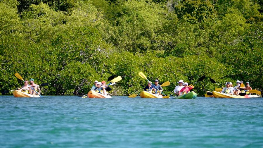 St. John's, Antigua Kayak, Snorkeling, & Beach Bird Island - Antigua by Van, Speedboat, Kayak, and Fins