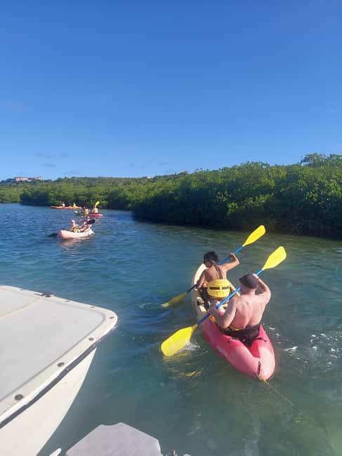 St. John's, Antigua Kayak, Snorkeling, & Beach Bird Island - Speedboat Ride to Great Bird Island