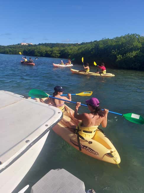 St. John's, Antigua Kayak, Snorkeling, & Beach Bird Island - Thirty Minutes Above Coral and Blue Tang