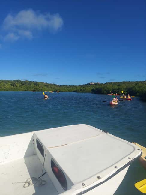 St. John's, Antigua Kayak, Snorkeling, & Beach Bird Island - Who Will Get the Most from This Trip