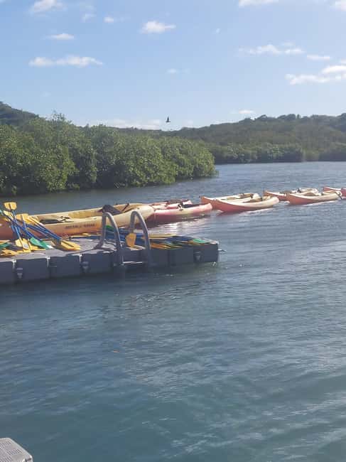 St. John's, Antigua Kayak, Snorkeling, & Beach Bird Island - Should You Book the Antigua Kayak and Snorkel Tour?