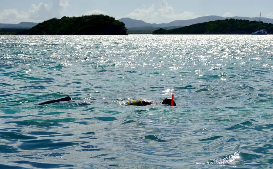 St. John's, Antigua Kayak, Snorkeling, & Beach Bird Island - North Sound’s Red Mangrove Channels