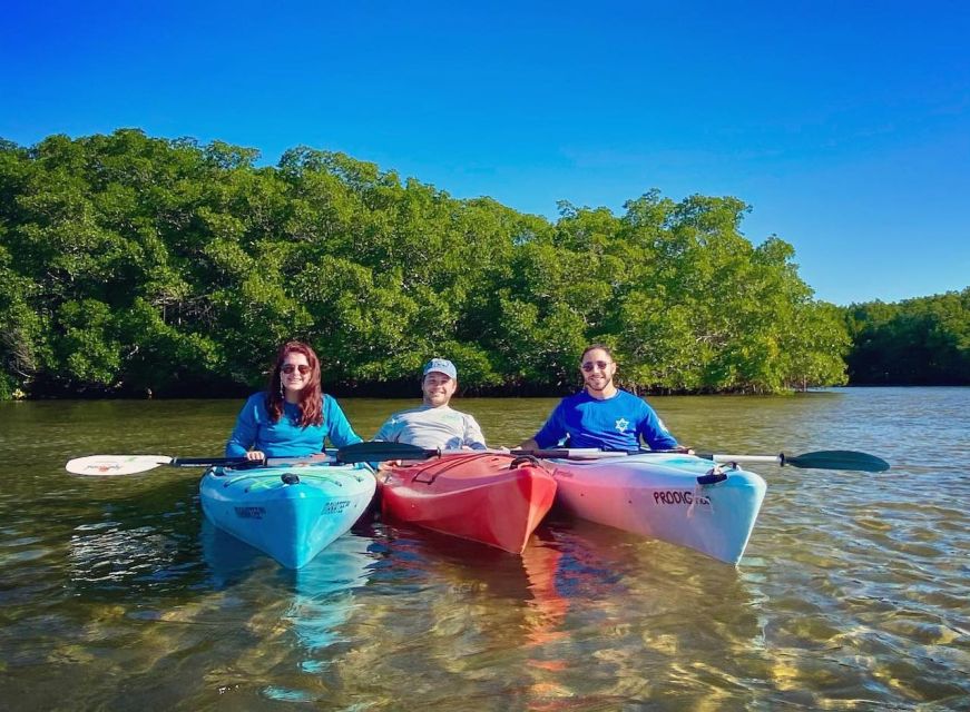 St. Petersburg, FL: Weedon Island Kayak Tour - Quick takeaways for the Weedon Island paddle