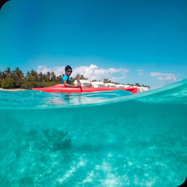 St. Petersburg, FL: Weedon Island Kayak Tour - Starting at the Culture and History Center lot