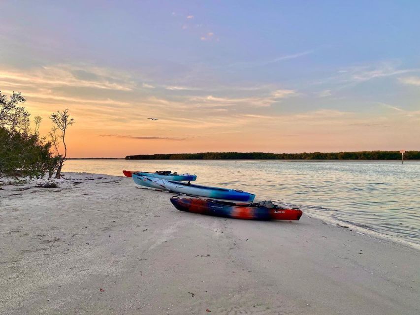 St. Petersburg, FL: Weedon Island Kayak Tour - Looking for manatees, dolphins, and fish