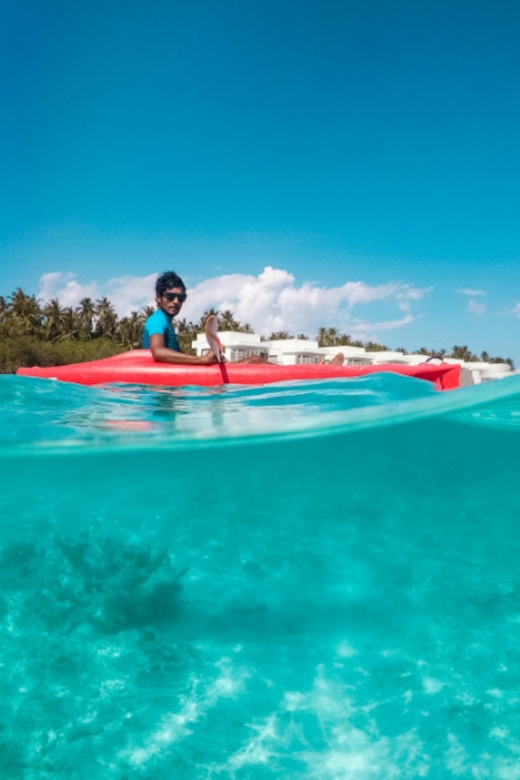 St. Petersburg, FL: Weedon Island Kayak Tour - My call: book it for the setting, not a guarantee