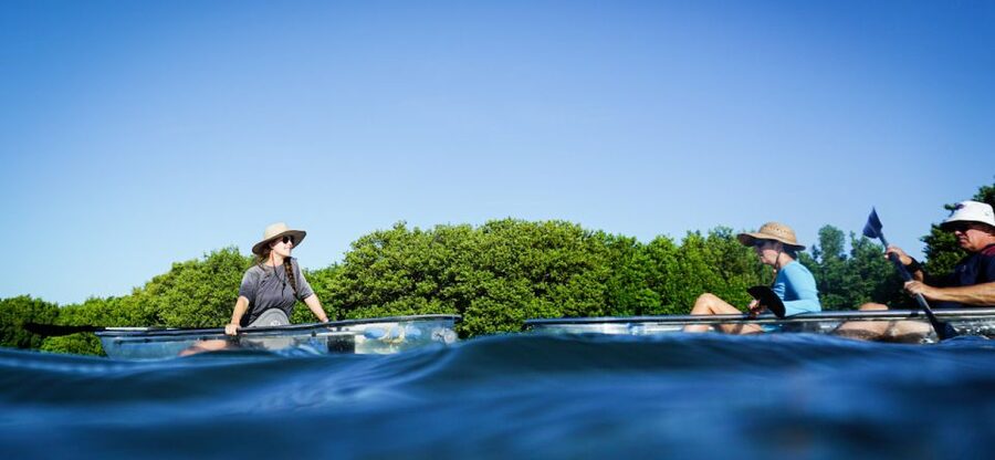 St. Petersburg, FL: Weedon Island Kayak Tour - Across Weedon Island’s clear seagrass meadows