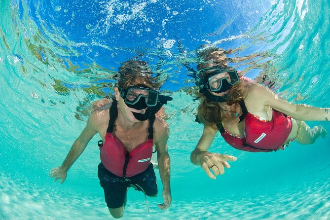 St Thomas Mangrove Lagoon Kayak and Snorkel Tour in the US Virgin Islands - A Short Island Stop and the Optional Hike