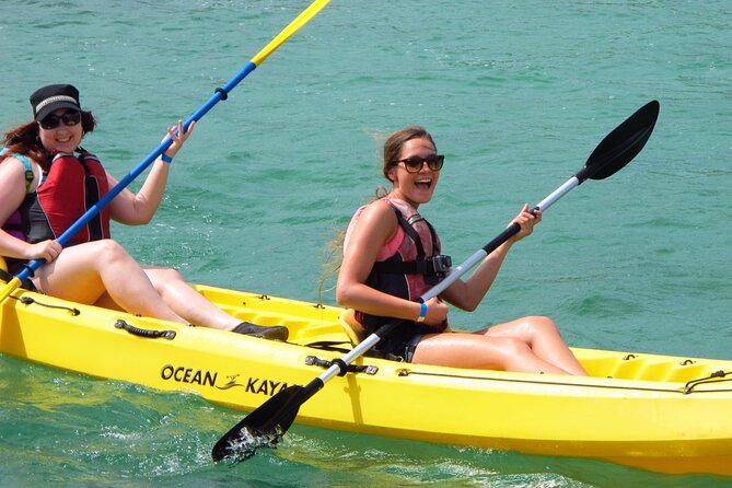 St Thomas Mangrove Lagoon Kayak and Snorkel Tour in the US Virgin Islands - Wildlife, Conservation, and the Guide’s Role