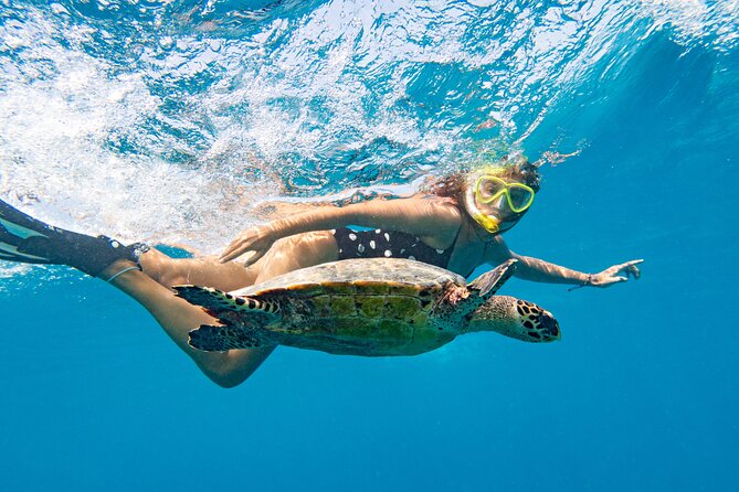 St Thomas Mangrove Lagoon Kayak and Snorkel Tour in the US Virgin Islands - How Much Work Is the 2.5-Hour Tour?