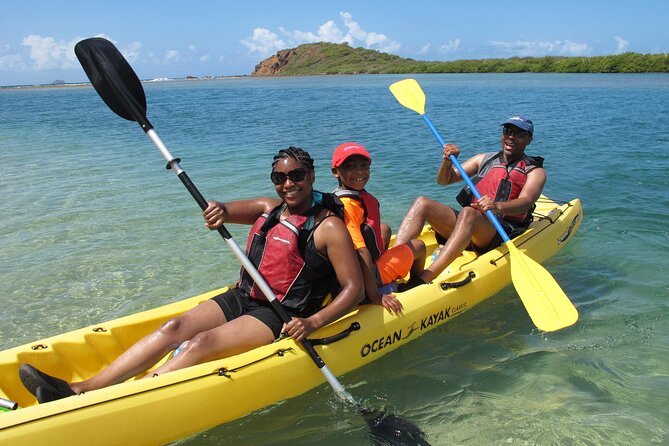 St Thomas Mangrove Lagoon Kayak and Snorkel Tour in the US Virgin Islands - Is $89 a Fair Price?