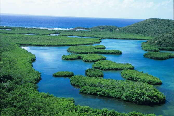 St Thomas Mangrove Lagoon Kayak and Snorkel Tour in the US Virgin Islands - Who Will Enjoy This Tour Most?