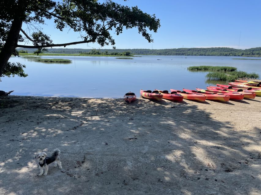 Starved Rock State Park: Guided Kayaking Tour - Sandstone bluffs, canyons, and lotus flowers