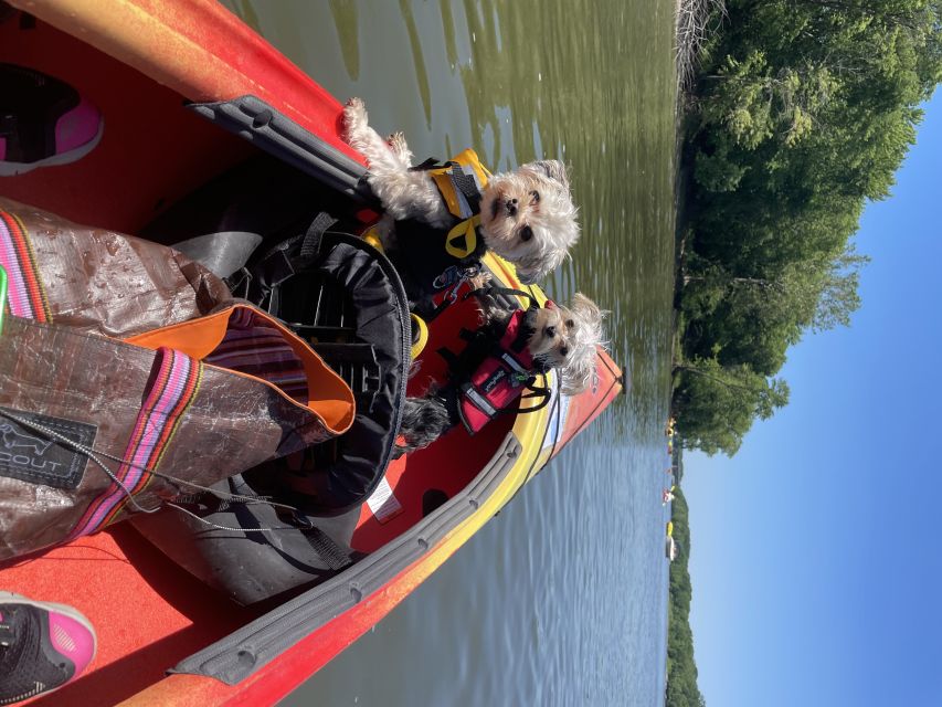 Starved Rock State Park: Guided Kayaking Tour - Starting at Kayak Starved Rock Campground