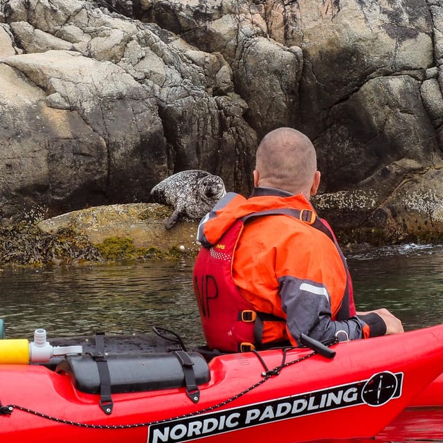 Stavanger: Lysefjord Kayak Safari (Waterfalls & Pulpit Rock) - Guides who teach, explain, and keep the day personal
