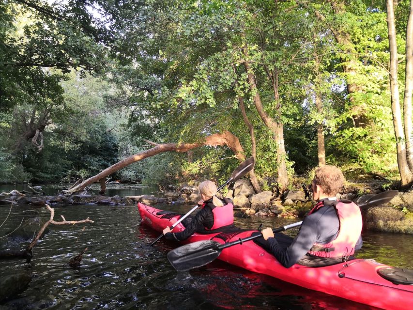 Stockholm Evening Kayak with BBQ. - Practical packing advice for a three-hour outing