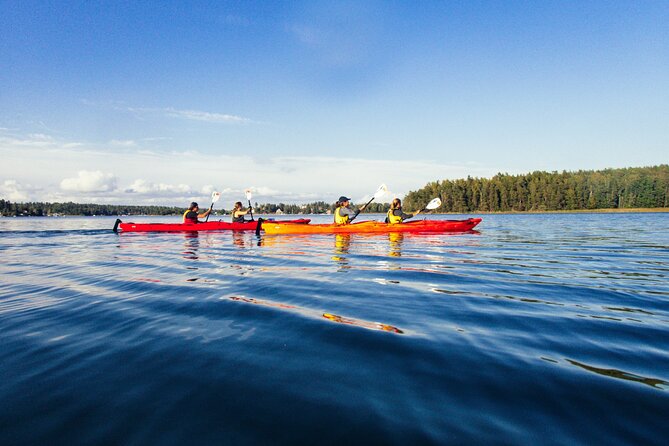 Stockholm: Kayaking tour around Vaxholm Archipelago with Fika - Vaxholm Fortress and the defensive edge of Stockholm