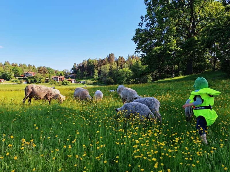 Stockholm: Self Guided Kayak Adventure in Nature Reserve - Who should book this Stockholm outing?